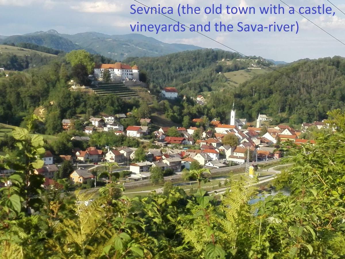 Villa Getaway "At The Three Lights" Sevnica Exterior foto